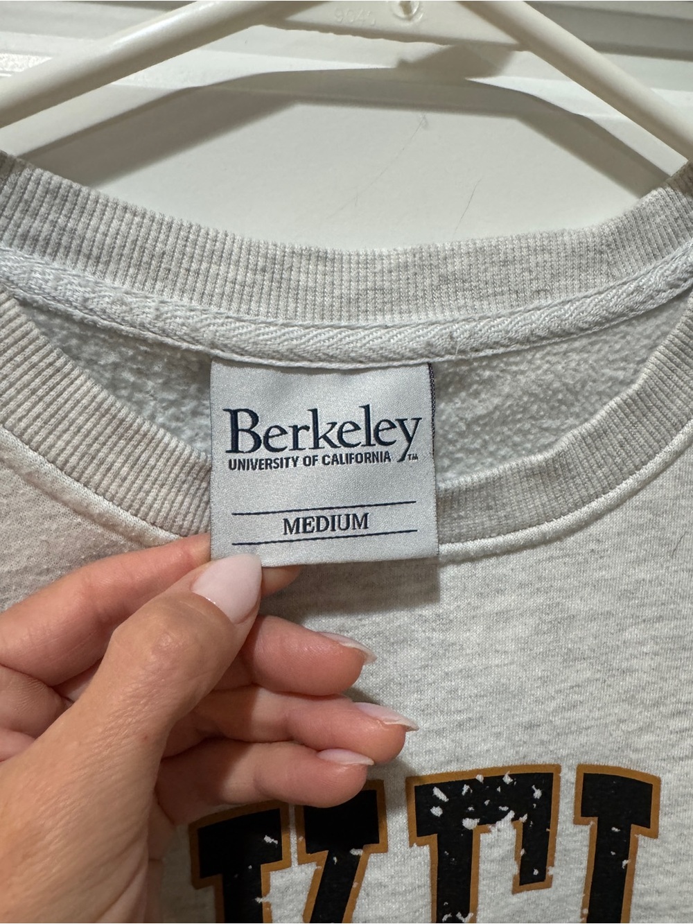 Berkeley Graphic Crewneck Sweatshirt - Light Gray| Unisex Medium - Picture 3 of 3